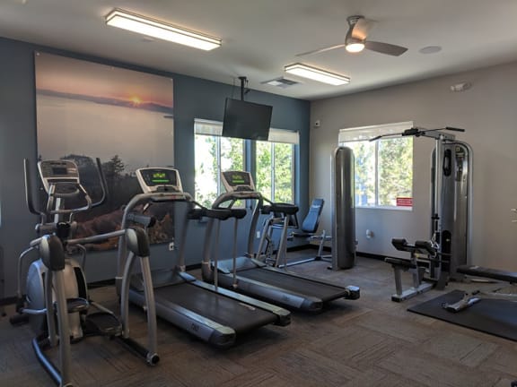 Vista fitness sales store